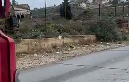 Thumbnail preview image for the video titled: Israeli bulldozersuprooting hundreds of olive trees from Palestinian lands between Beit Ur al-Fauqa and Beit Ur al-Tahta