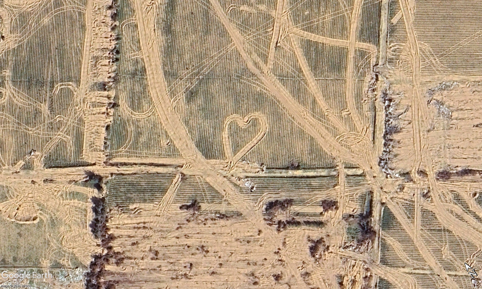 Thumbnail preview image for the video titled: Israeli bulldozers drew a heart shape while razing Gaza