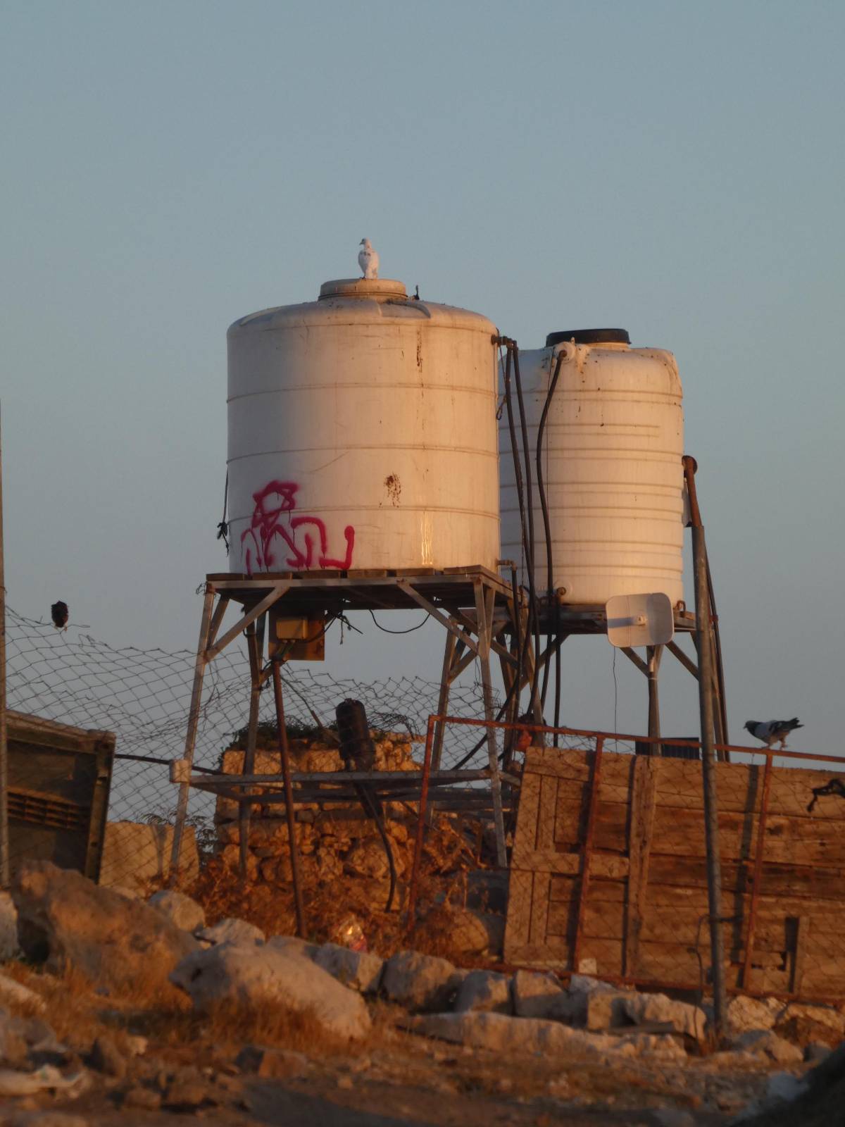 Thumbnail preview image for the video titled: Aftermath of the pogrom in Tuba