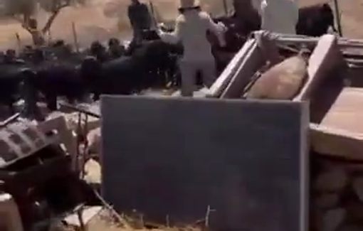 Thumbnail preview image for the video titled: Israeli settlers once again attack the Naif al-Kaabneh Bedouin community east of al-Taybeh