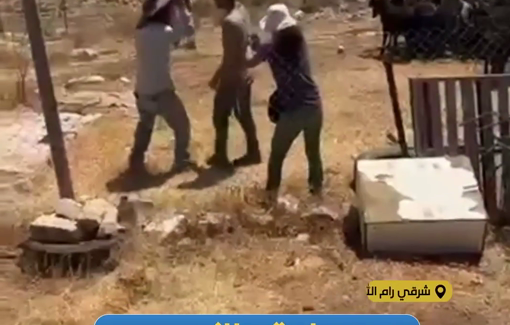 Thumbnail preview image for the video titled: One of the daily invasions of Nayef Al-Kaabneh’s home by settlers, ongoing for four months.