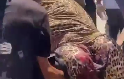 Thumbnail preview image for the video titled: Civilians evacuate dismembered casualties after Israel bombed police HQ
