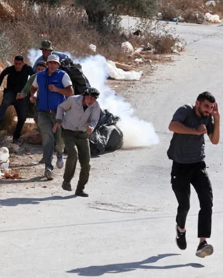 Thumbnail preview image for the video titled: Israeli forces prevent the harvesting of olives at Jabal al-‘Arma in Beita and fire tear gas at farmers