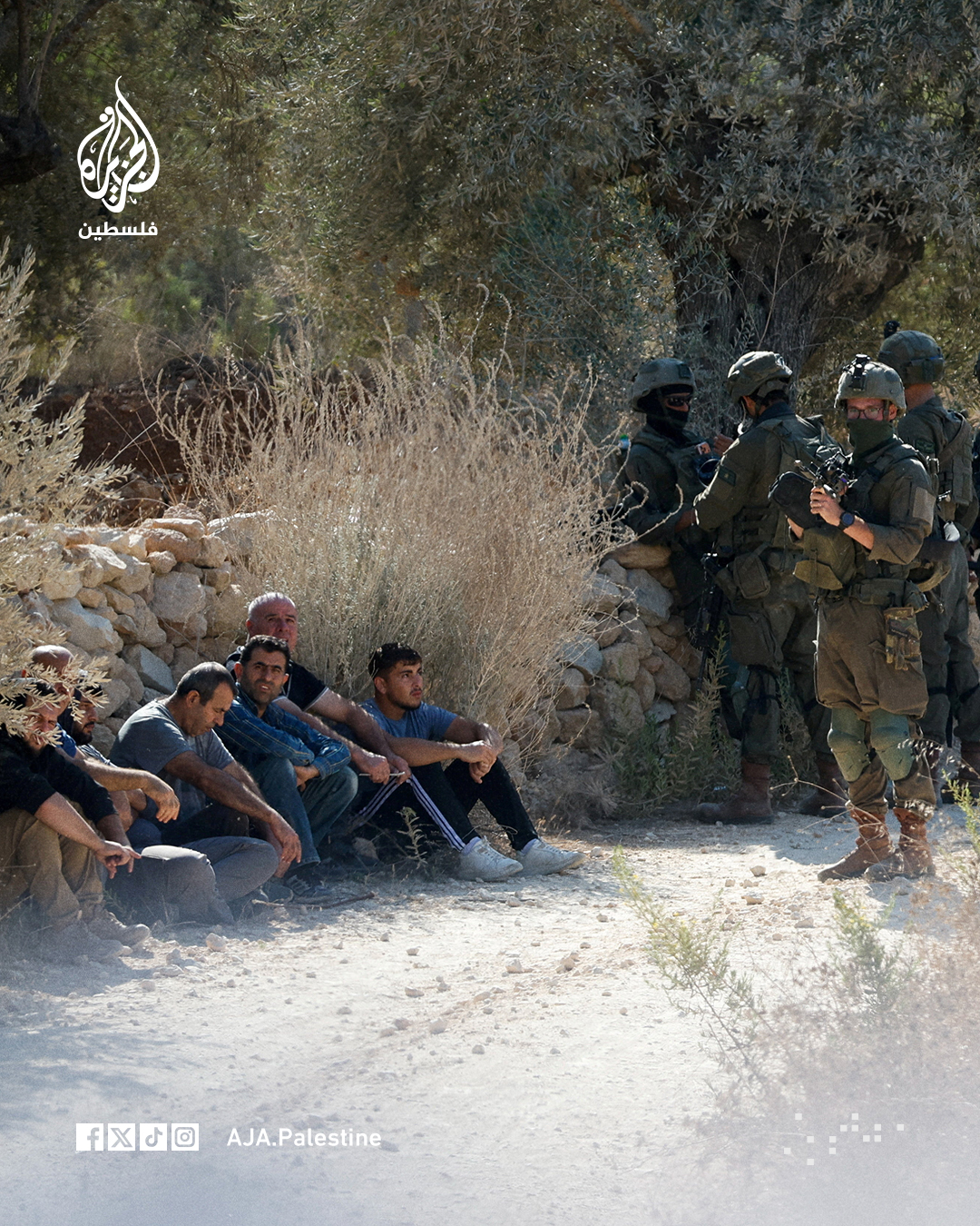 Thumbnail preview image for the video titled: Israeli forces detained a number of young men and solidarity activists to prevent the olive harvest in Beita