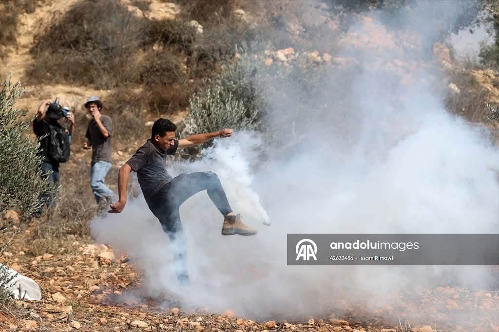 Thumbnail preview image for the video titled: The Israeli occupation army prevents residents of Beita from harvesting olives, firing tear gas