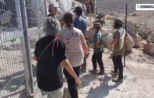 Thumbnail preview image for the video titled: Israeli settlers sending their children to attack Palestinian homes and properties in Aqraba