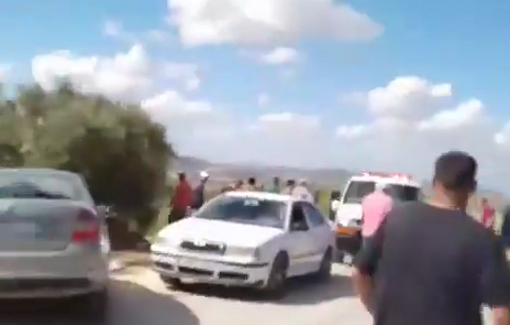 Thumbnail preview image for the video titled: Terror attack by Israeli settler under army cover against olive-picking farmers near the village of Ramin
