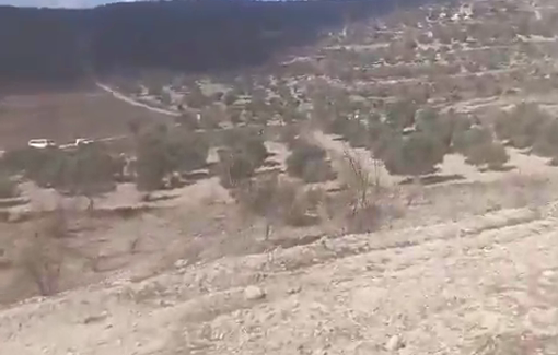 Thumbnail preview image for the video titled: Pogrom by Israeli settler targeting farmers while harvesting olives in Ramin plain