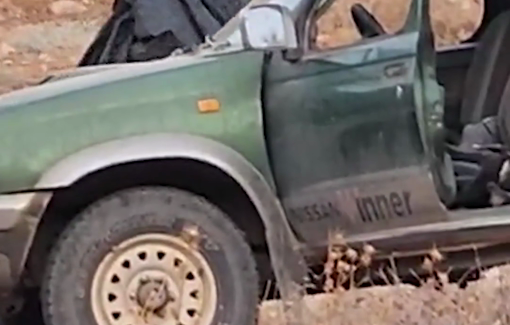 Thumbnail preview image for the video titled: Israeli settlers steal systematically the olive harvest of Palestinian communities or damages their trees