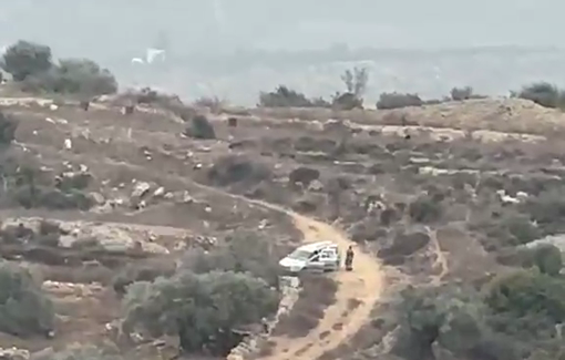 Thumbnail preview image for the video titled: Israeli settlers steal olive crops from Palestinian-owned agricultural lands in Attara