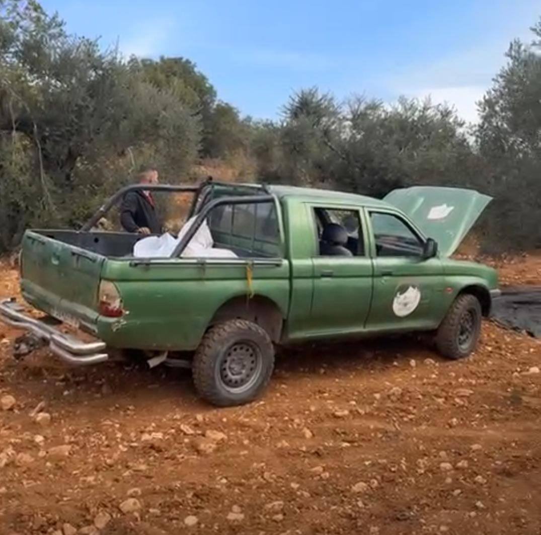 Thumbnail preview image for the video titled: Israeli settlers attacked Palestinian farmers while they were harvesting olives in the village of Ein Yabrud