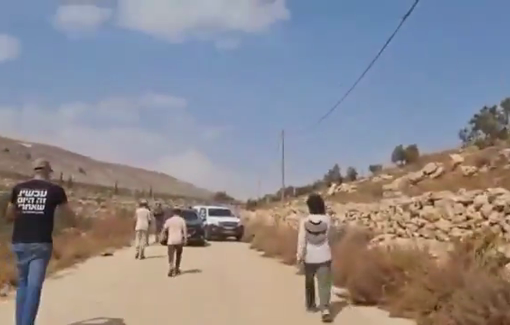 Thumbnail preview image for the video titled: A Jewish settler teenager storms into an olive harvest and tries to attack two Palestinian women