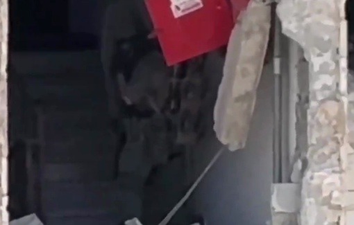 Thumbnail image of a video tagged with @BorgogelliElena